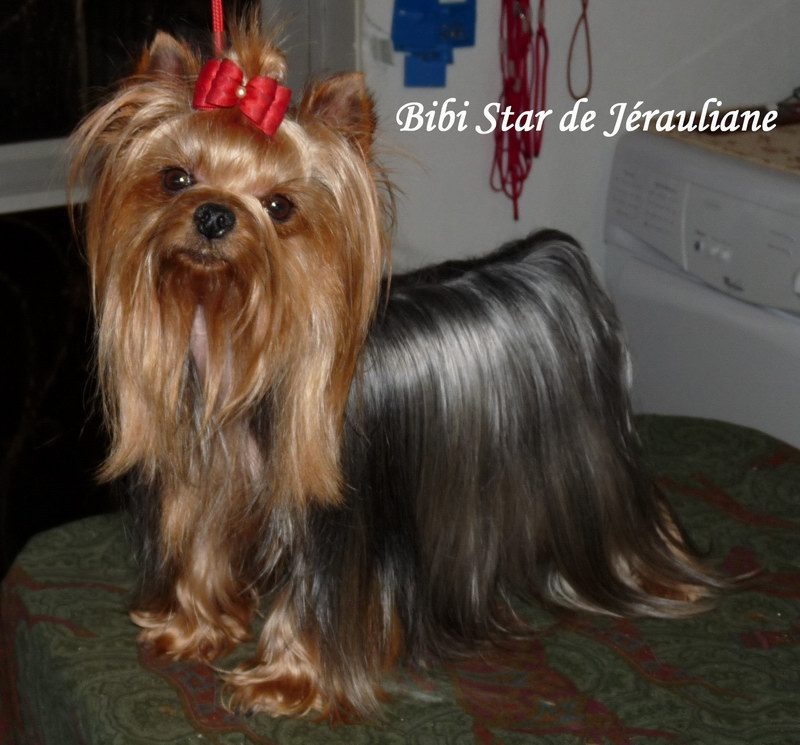 Bibi star de Jérauliane